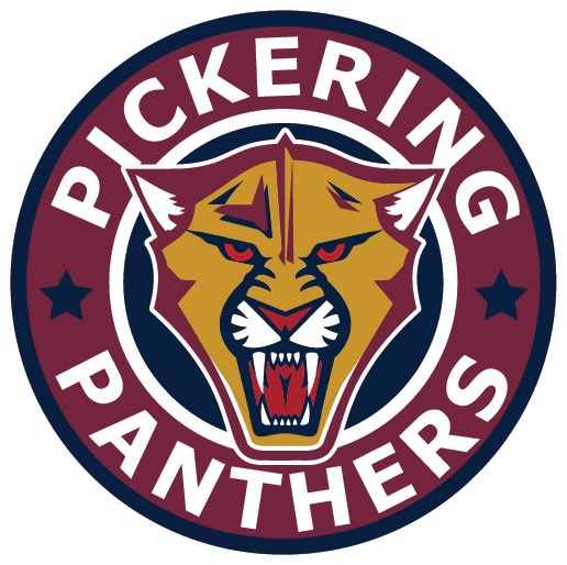 Pickering Panthers 2016-Pres Primary Logo iron on heat transfer